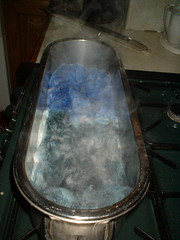 fish kettle dyeing