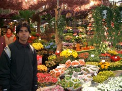 Kat Florist Market, Amsterdam, Netherlands