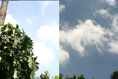 polarizer difference