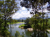 Bellinger River at Fernmount, NSW 1