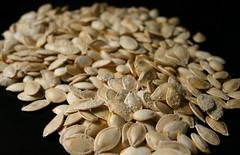 roasted and salted pumpkin seeds