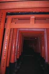 milers de torii