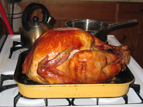 martha stewart perfect turkey