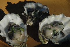 BBQ Oysters