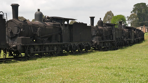 Dorrigo Steam and Railway Museum