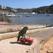 Ibiza - A parrot on his jeep