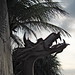 Ibiza - dragon in indonesia