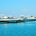Ibiza - Boats in sunny Ibiza