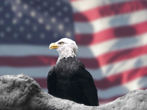 american flag eagle wallpaper. american flag waving with