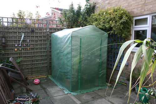 My Plastic Greenhouse - Garden November 2007
