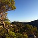 Ibiza - scenic view of Santa Agnes