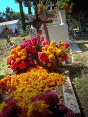 Ofrendas en Huaquechula dia de muertos