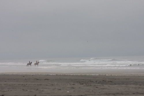 Horse riding along the edge of the Pacific