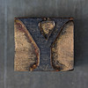 Wood Type Y