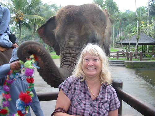 True Elephant lover: Mel Ridge