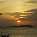 Ibiza - The Sunset from Savannah