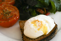 Poached Egg on Toasted No Knead Bread