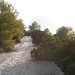 Ibiza - the path up to Es Vedra