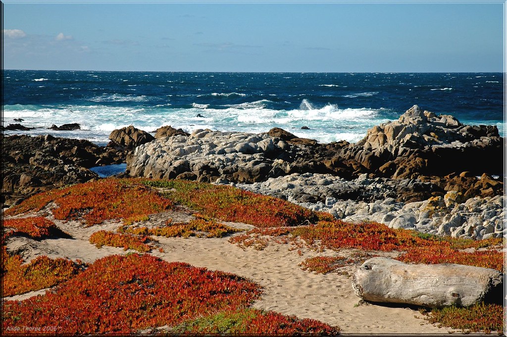 Monterey Bay, California