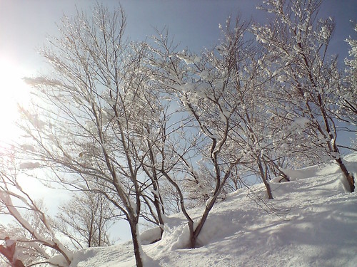 Ski Photo 05