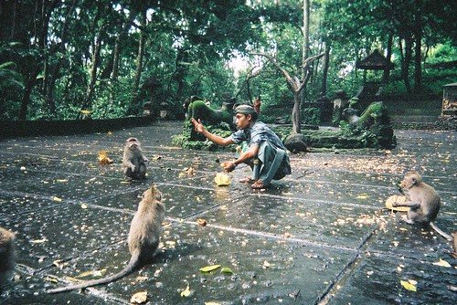 Ubud, Monkey Forest