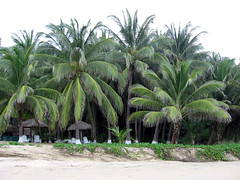 Playa Bococho 2
