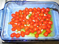 tomatoes01