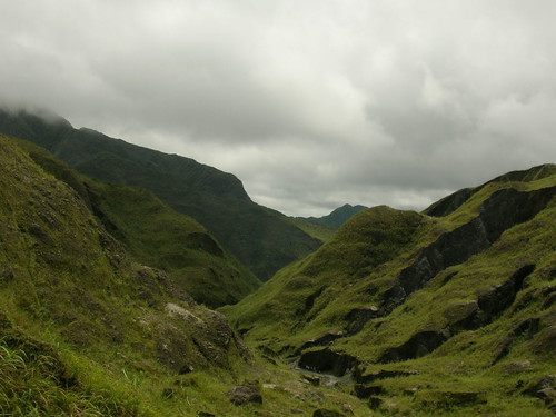pinatubo summit greenscape