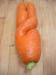 carrot in garuda