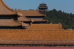 Roofs of Forbidden City