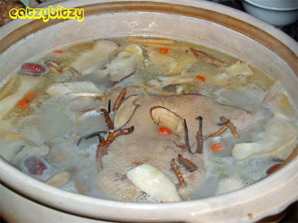 Cordyceps Herbal Duck Soup