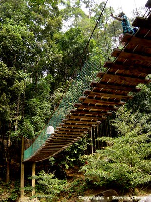 Hanging-bridge