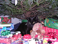 Ares under the tree