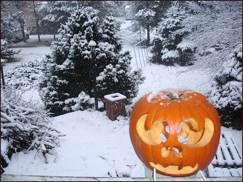 Pumpkin-Snow
