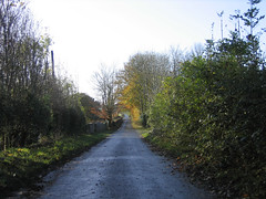 The long road in Autumn