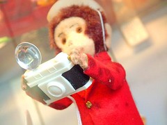 monkey camera2