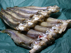 柳葉魚だぜ