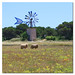 Formentera - Windmills of your Mind