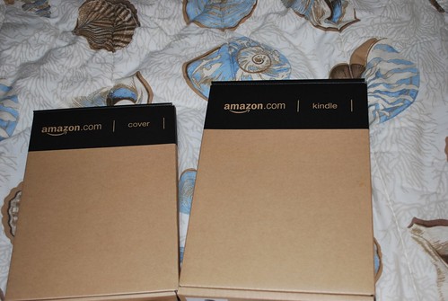 Amazon Kindle DX