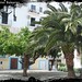 Ibiza - IMG_1362