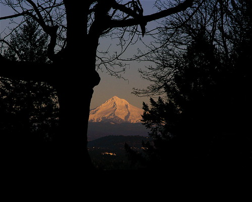 Mt. Hood from Mt. Tabor.