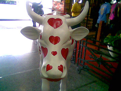 Love strucked cow statue
