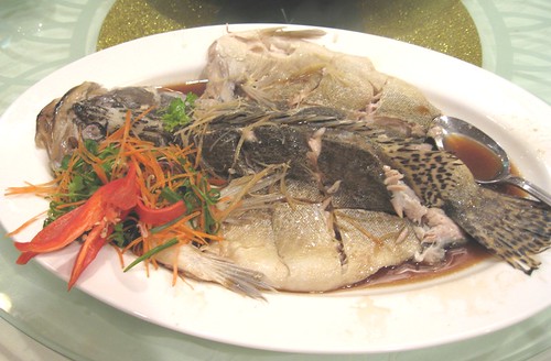 Gui Hua fish