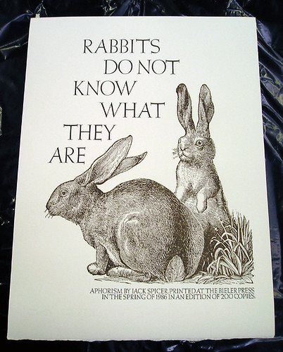 Rabbits do not know what they are / Jack Spicer