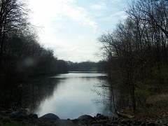 lake at sharon woods