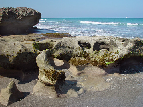Ancient Reef Rock Formations