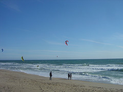 Scotts Creek Beach - Kite Surfers II
