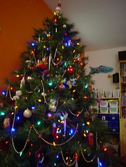 ourtree2005