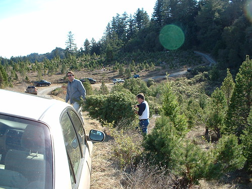 Corkey and Duncan haul the tree