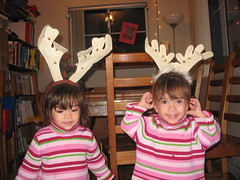 Reindeer twins